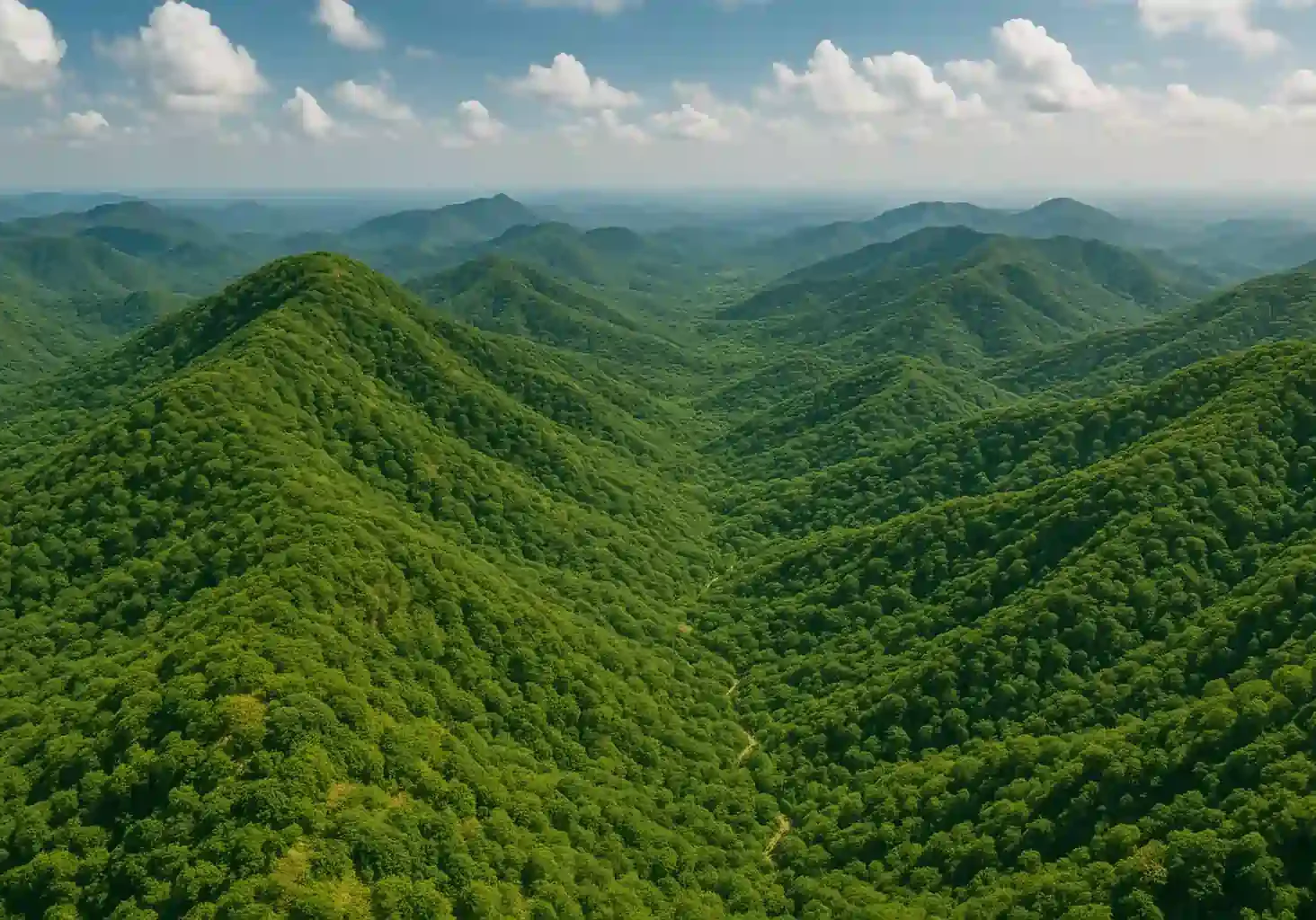 Aerial view of RASA Estate Farms in Naugaon showing gated plots and greenery