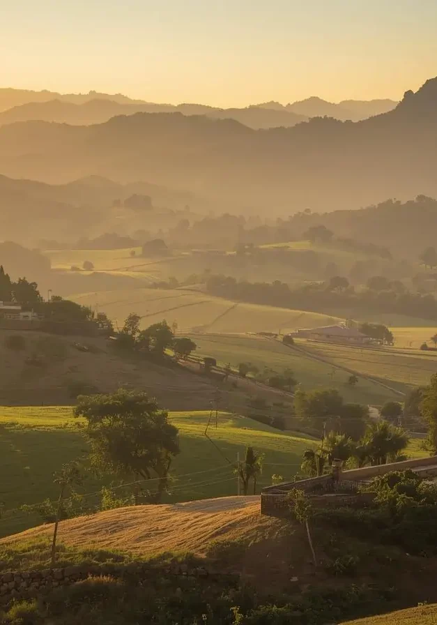 Rainbow Meadows Farms at dusk with Aravalli Hills in background.